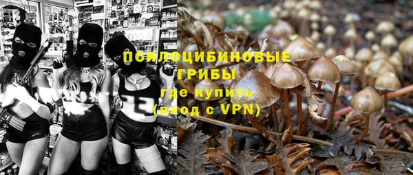 гидра Бугульма
