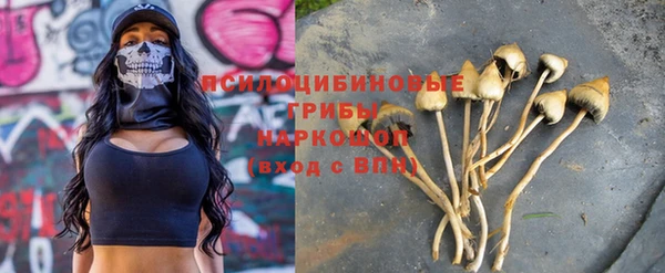 хмурый Каменногорск