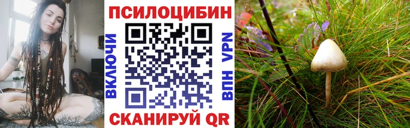 купить наркотики сайты  Дивногорск  Псилоцибиновые грибы мицелий 