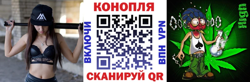 OMG ТОР  Дивногорск  Конопля сатива  где купить  